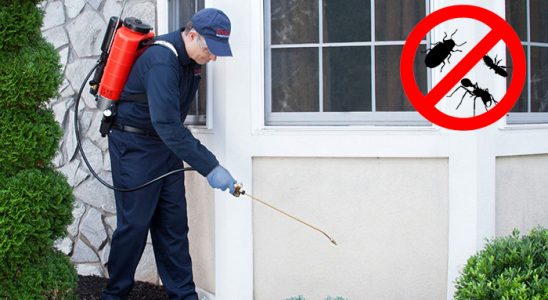 Mithatpaşa Fare İlaçlama böcek ilaçlama ve haşere kontrolü — ilaclama-tr.com